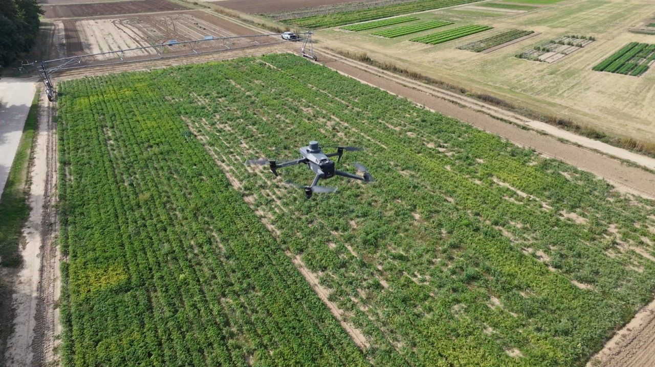 Landwirtschaftsdrohne im Schwebeflug über Gemüsebau-Versuchsflächen am Queckbrunnerhof